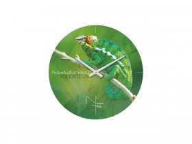 Часы настенные Nicole Time NT503 в Табулге - tabulga.mebel-nsk.ru | фото